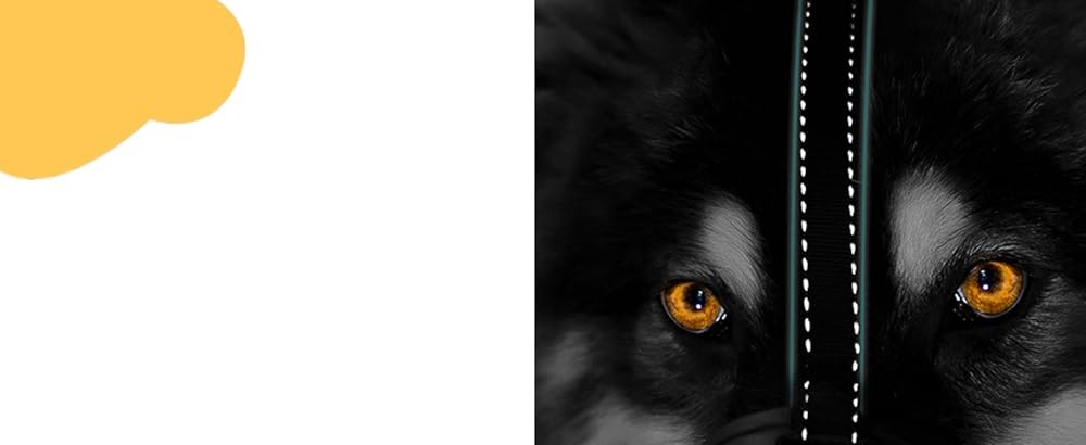 BARKL Dog Muzzle, Silicone Basket Muzzle for Small Medium Lar Dogs,