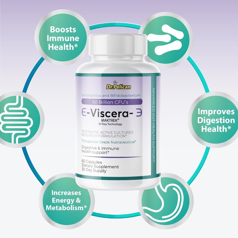 Viscera- Digestive Support- 12 Bottles- 720 Capsules