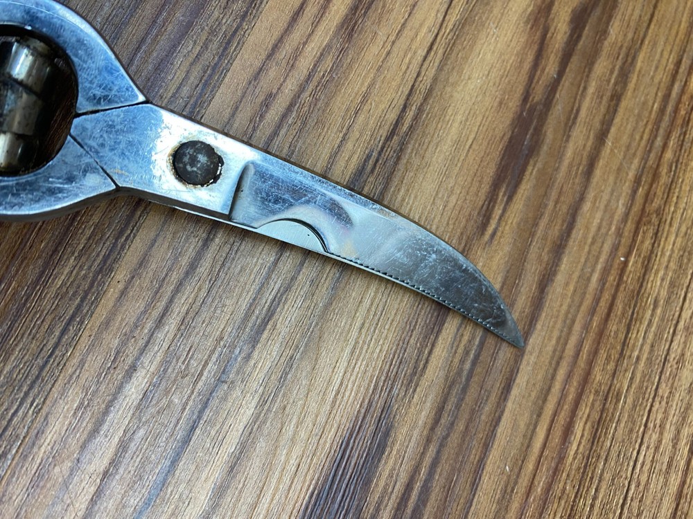 LARGE ROMUSO SOLINGEN ROSTFREI POULTRY MEAT SHEARS SCISSORS LOCKABLE SERRATED