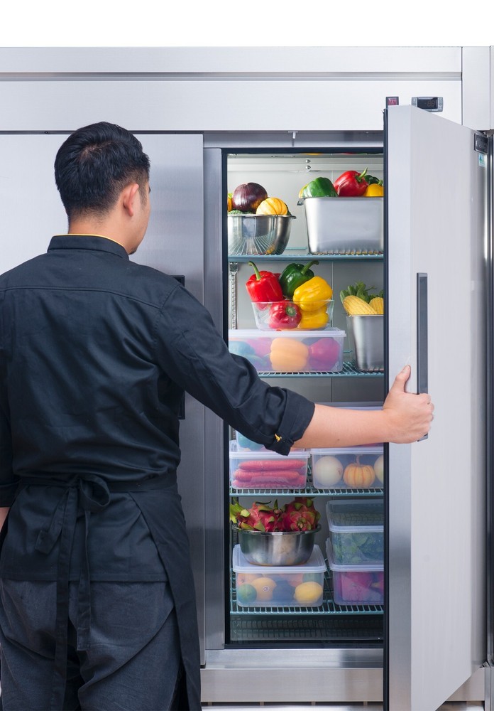 DUKERS D55R, Bottom Mount 2-Door REFRIGERATOR