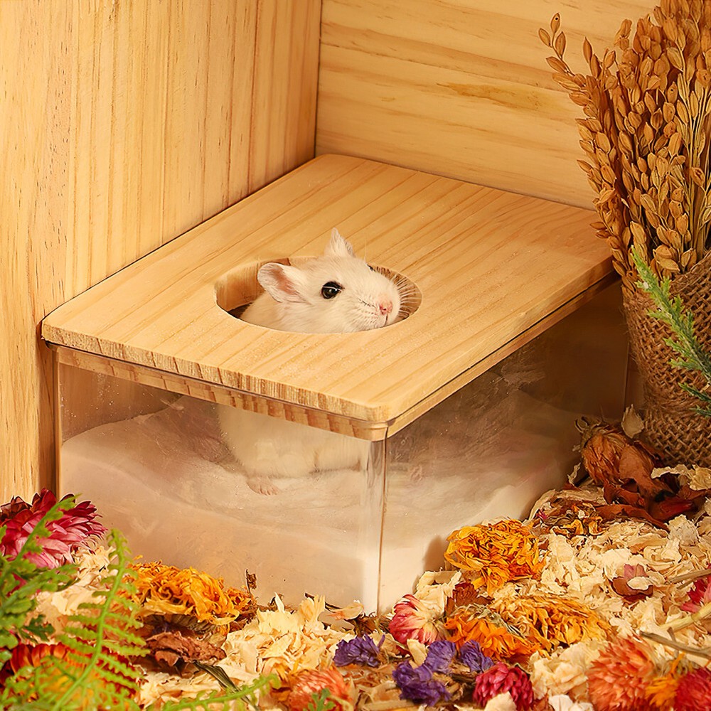 1PC Practical Hamster Bath Hamster Bath Sand Bath Hamster Sand Bath Free