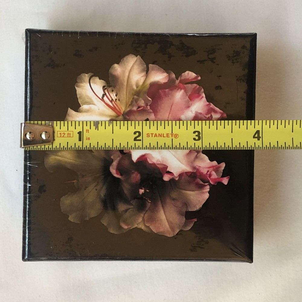 Affirmations by Angelique Cards