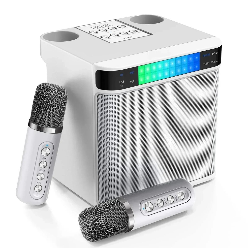 Portable Karaoke Machine with 2 Wireless Microphone Bluetooth Speaker System