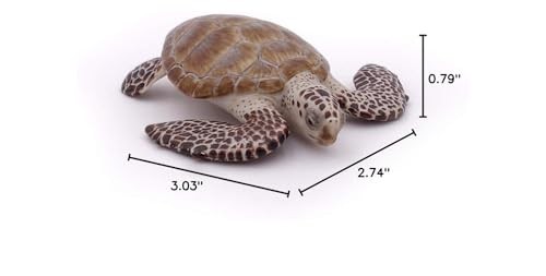 Papo - Loggerhead Turtle - from 3 Years Old - Marine Life Small, Multicolor