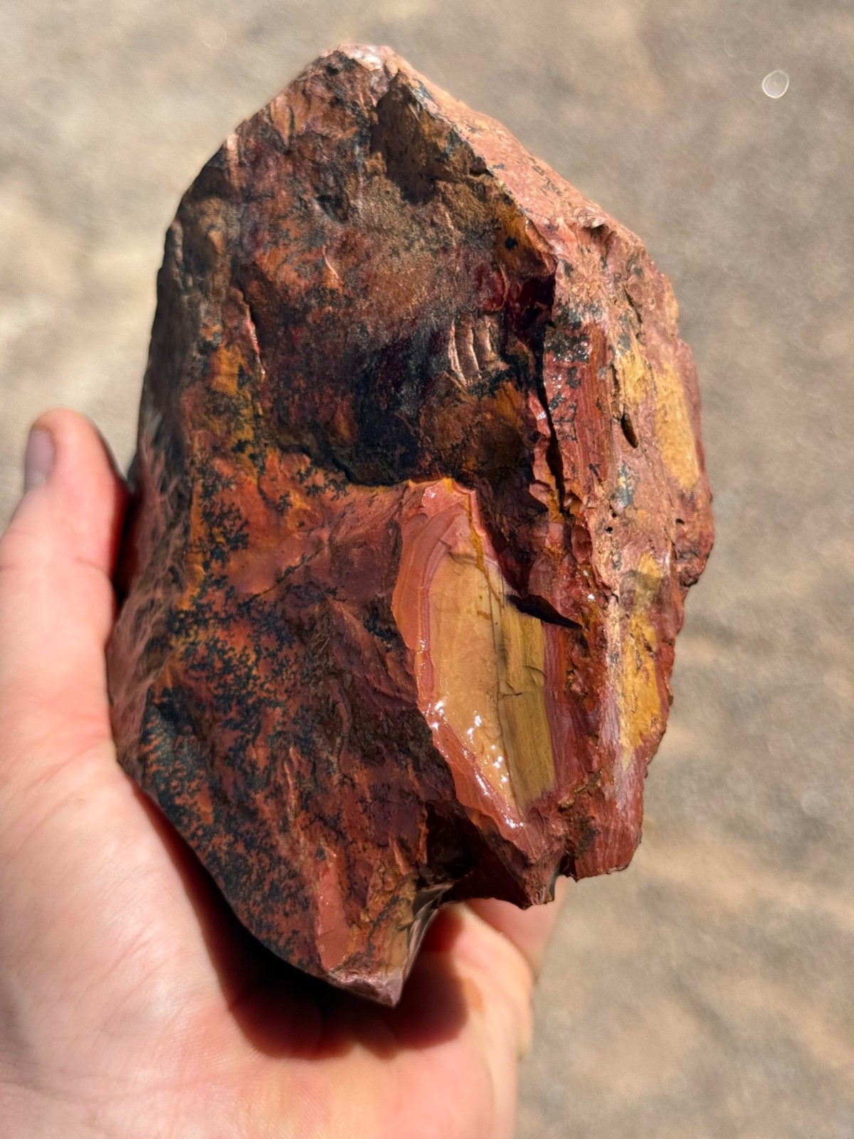 Dead Camel Jasper rough 21 pounds