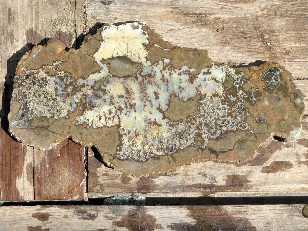 Richardson Ranch Thunder Egg Rough Slab Pony Butte Lapidary Cabbing Display