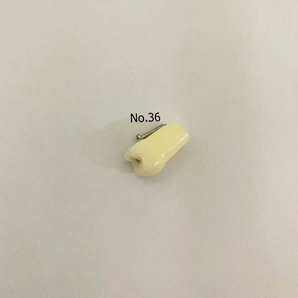 3Pcs/lot Dental Caries Tooth Practice Model Teaching Study Practise #36 Position