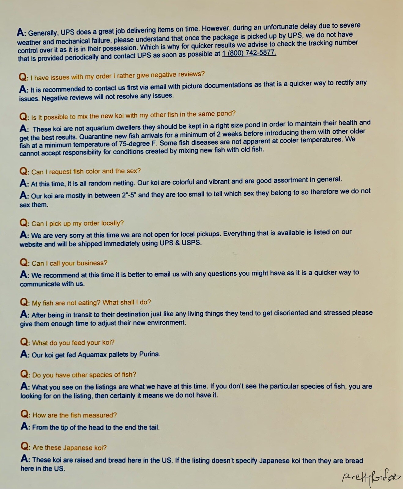 50-Lot Japanese Trapdoor snails algae eaters for koi pond garden pkf