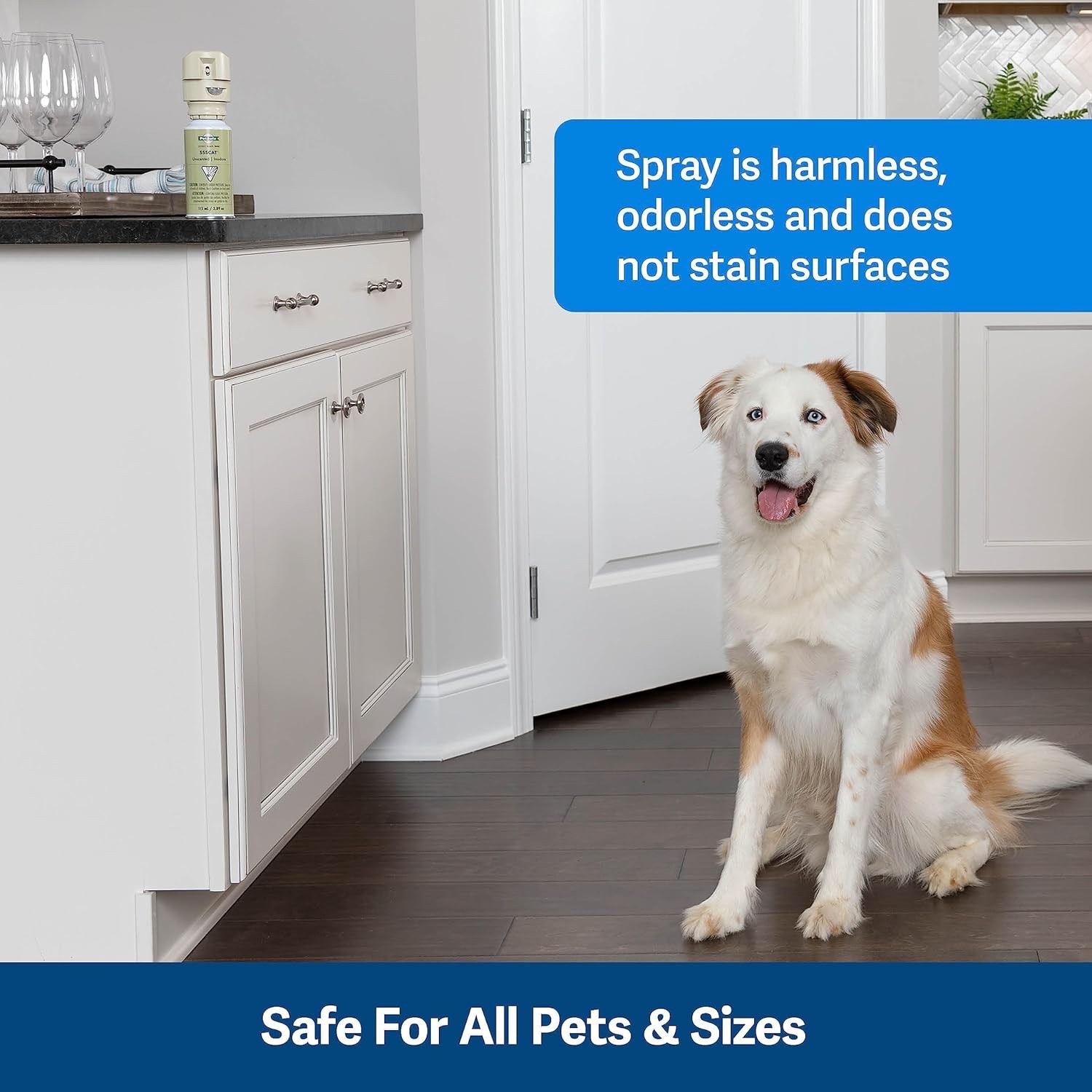 PetSafe SSSCAT Motion Activated Spray Deterrent for Cats and Dogs - PPD19-16170