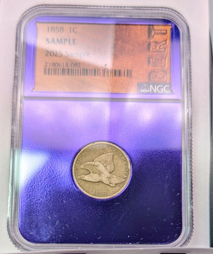 1858 FLYING EAGLE CENT ~ NGC BERT Sample Traderbea Purple Core Slab