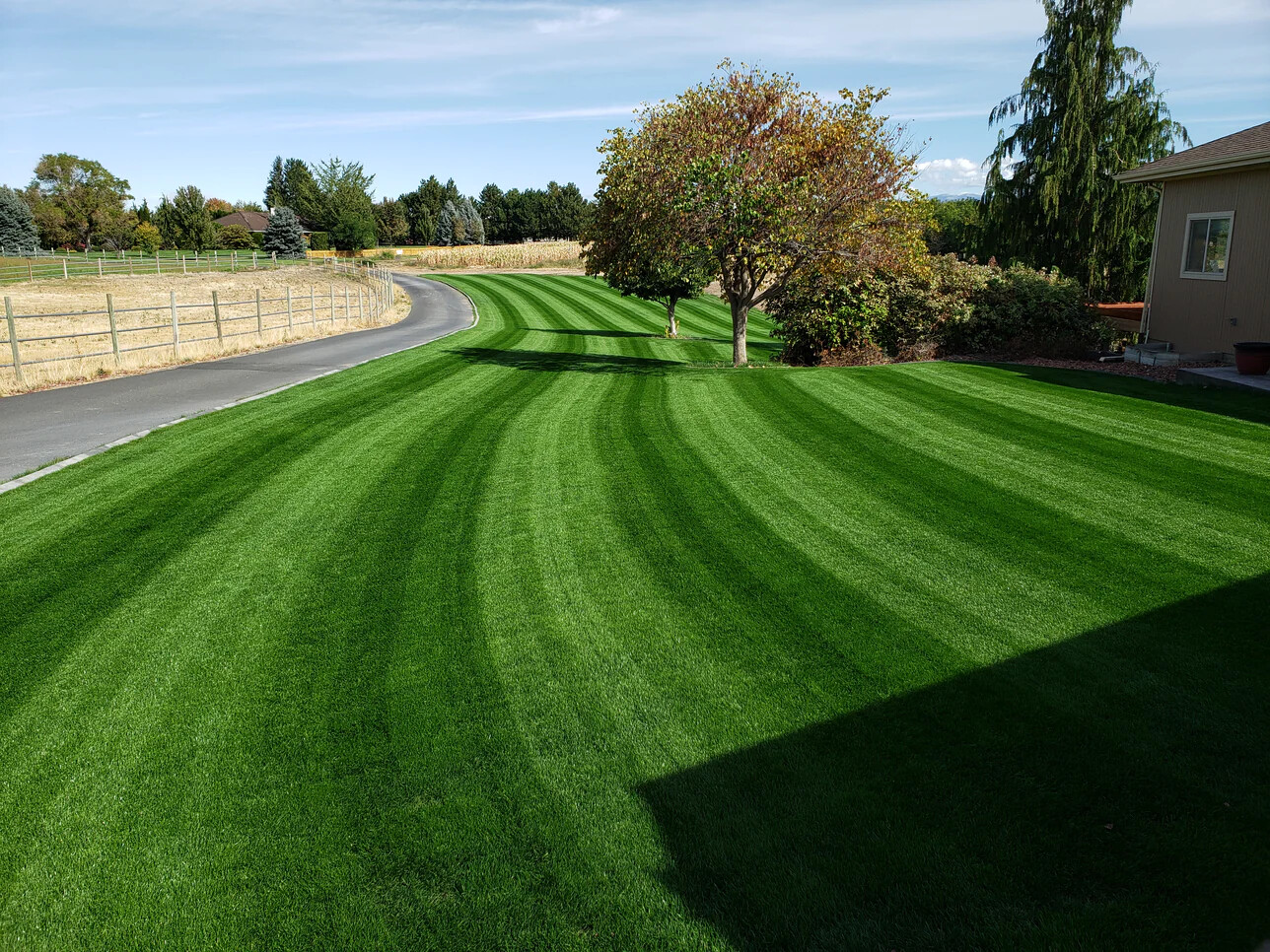 Sulfate of Potash SOP 0-0-50 Fertilizer lawns gardens deer food plots FAST SHIP!