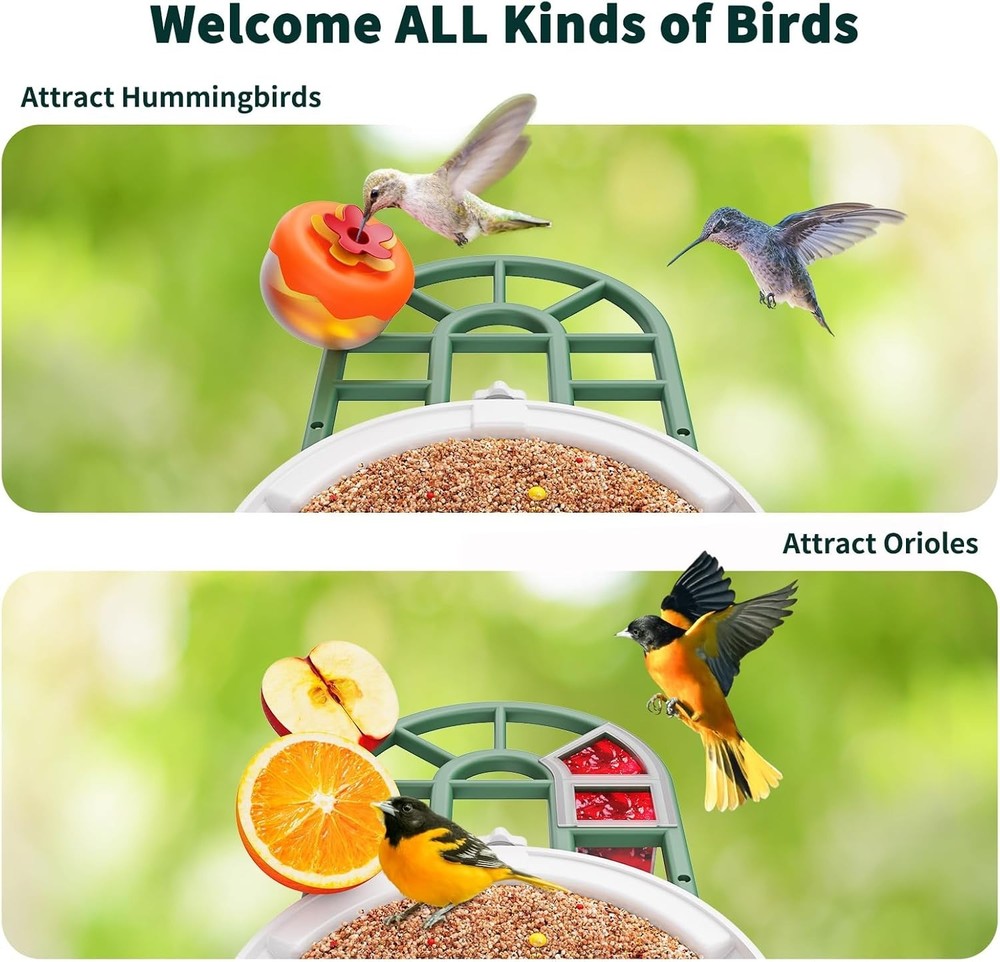 Smart Birdhouse Camera with Arrival Notifications