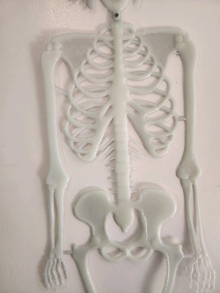 Vintage Hinged Plastic Skeleton Witch Halloween