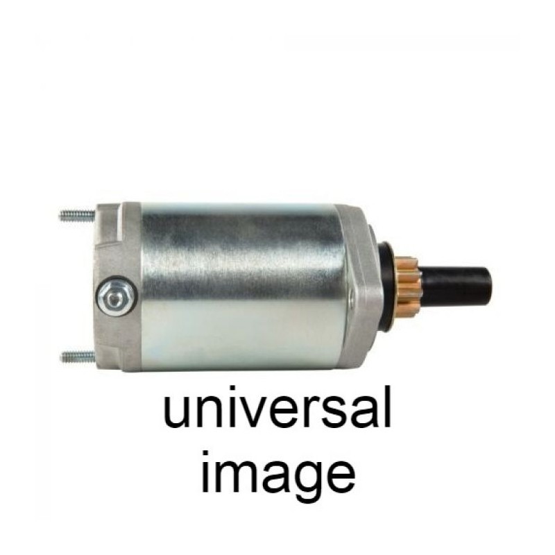 Wild Boar 410-52216 Starter