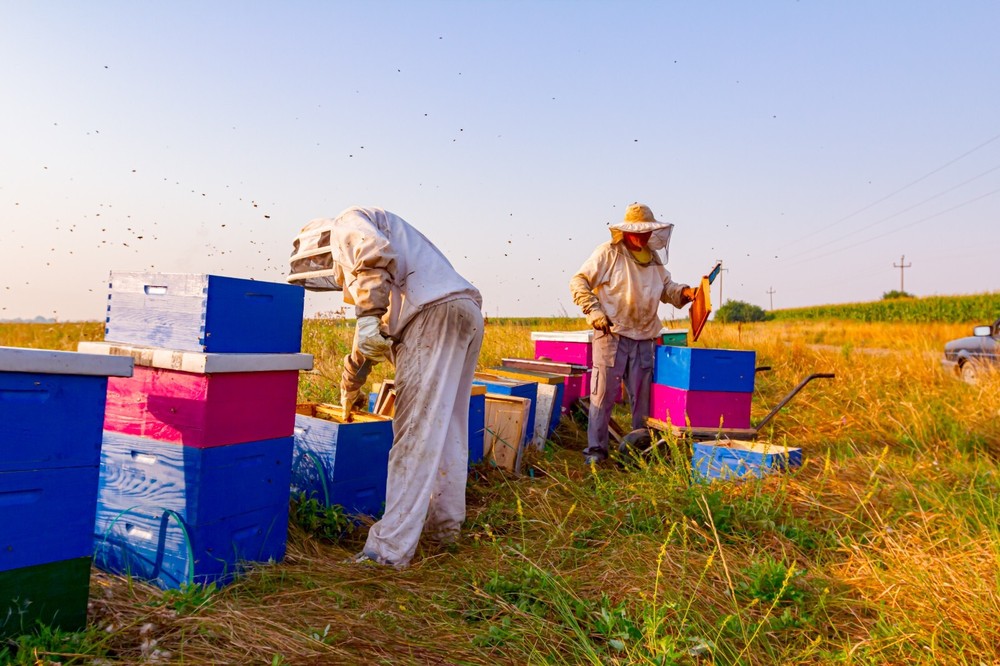 Bee-Sweet Liquid Bee Feed