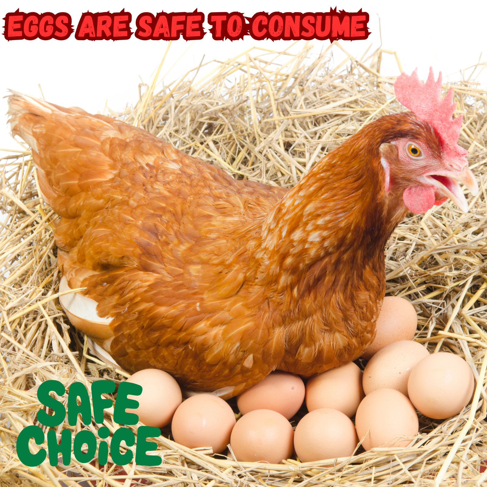 Chicken Poultry Dewormer Powder All Natural Plant Based Duck Birds 200g Bag