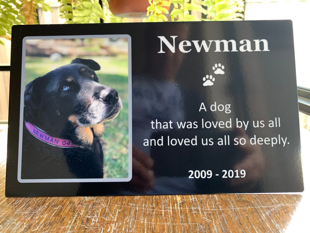 Photo Plaque Personalised Memorial (Duraluxe) 25cm x 15cm