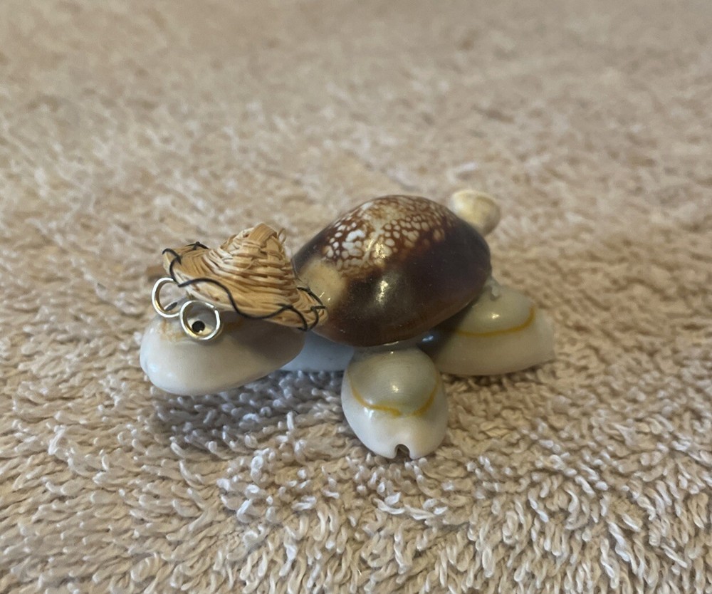 Cute Handmade Seashell Turtle with Wire Glasses Hat/Philippines