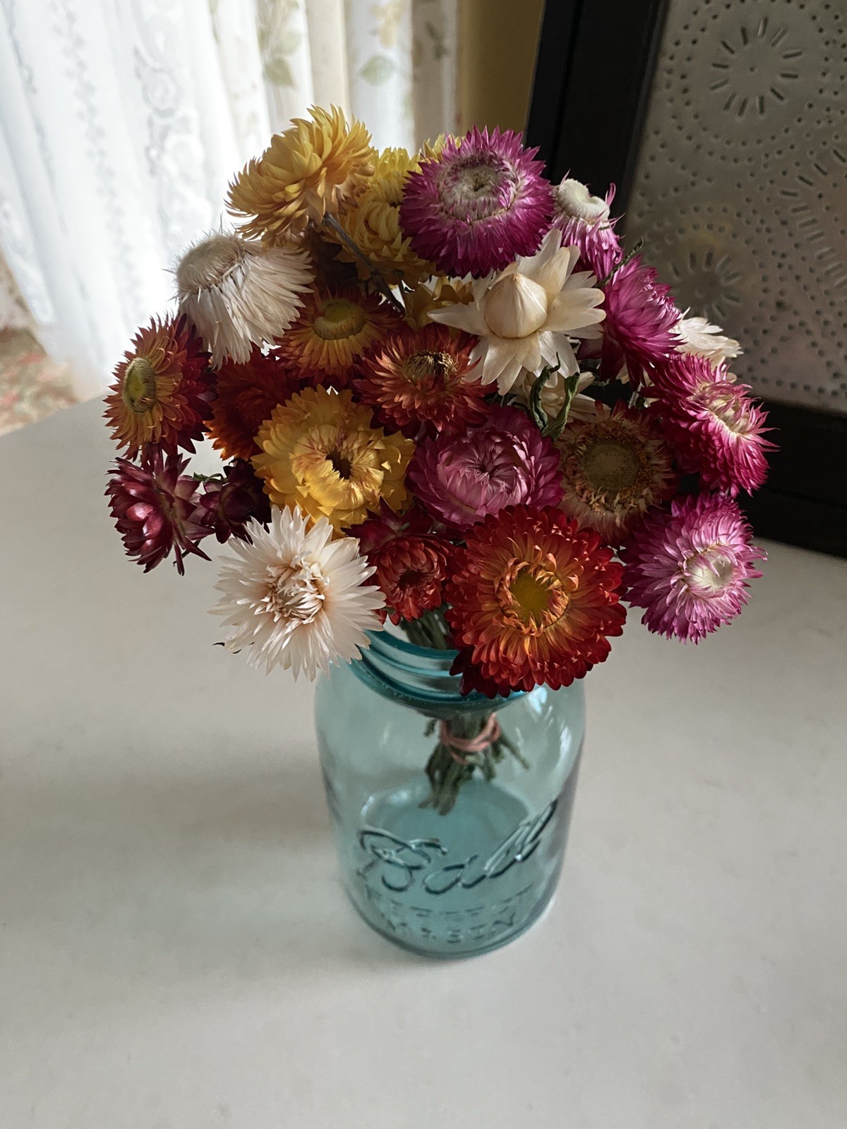 Beautiful STRAWFLOWERS Mix Assorted Bunch BOUQUET Bundle DRIED Flowers USA Auc#2