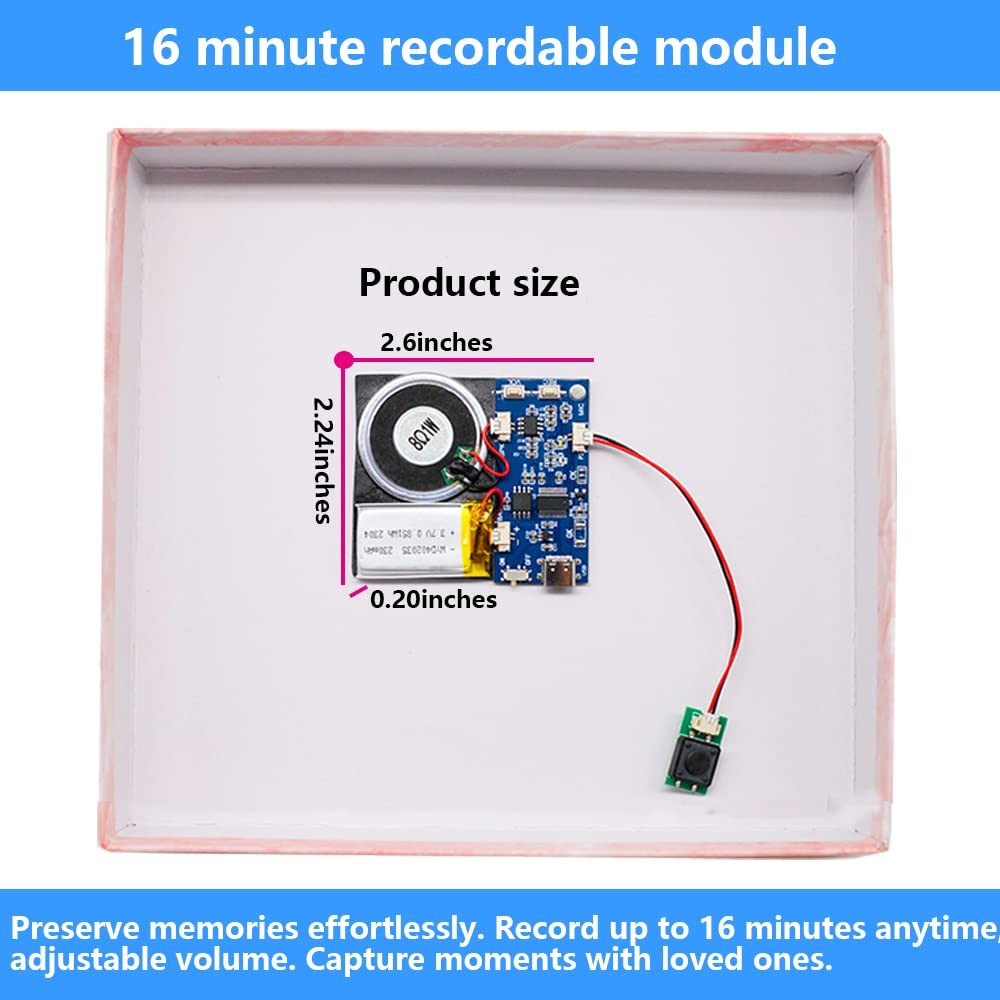 Module - 16MB Push Button Activated Sound Module with Speaker, Type-C Cable, ...