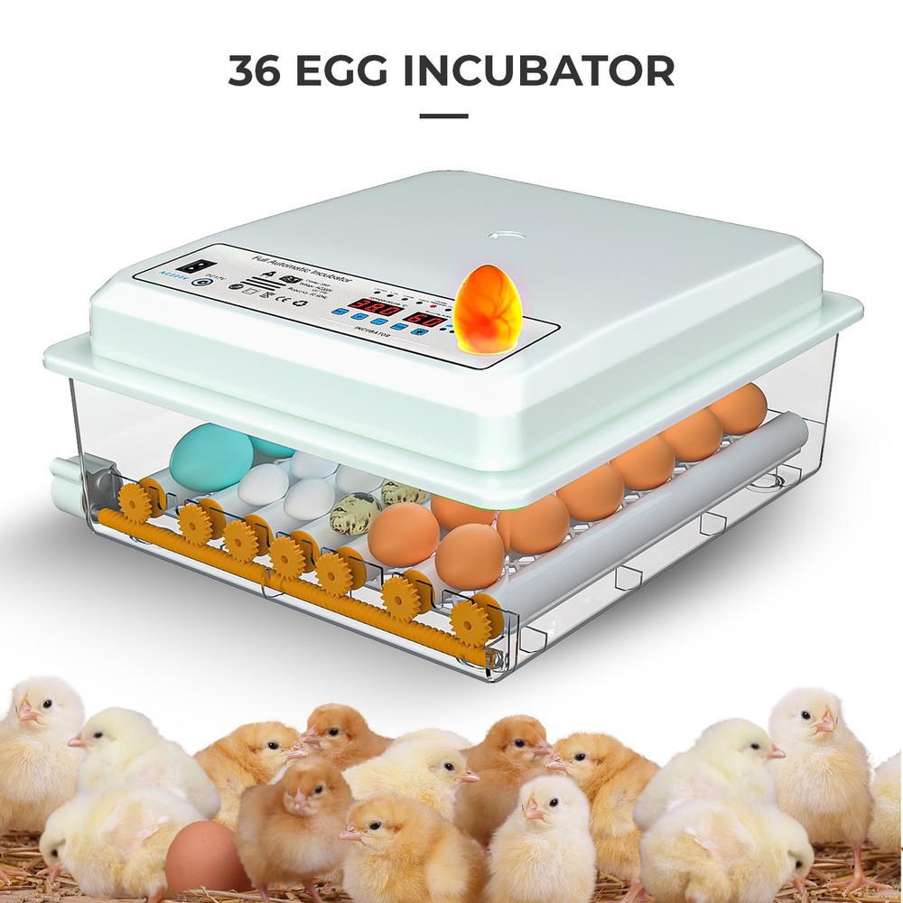 Egg Incubator 36 Eggs with Temperature Humidity Control Automatic Turning UK