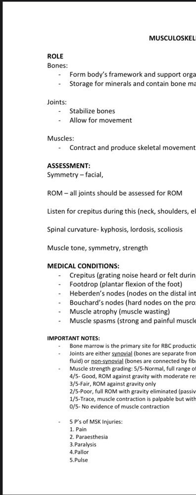 Nursing Student Study Guide NEW UPDATED VERSION 2025