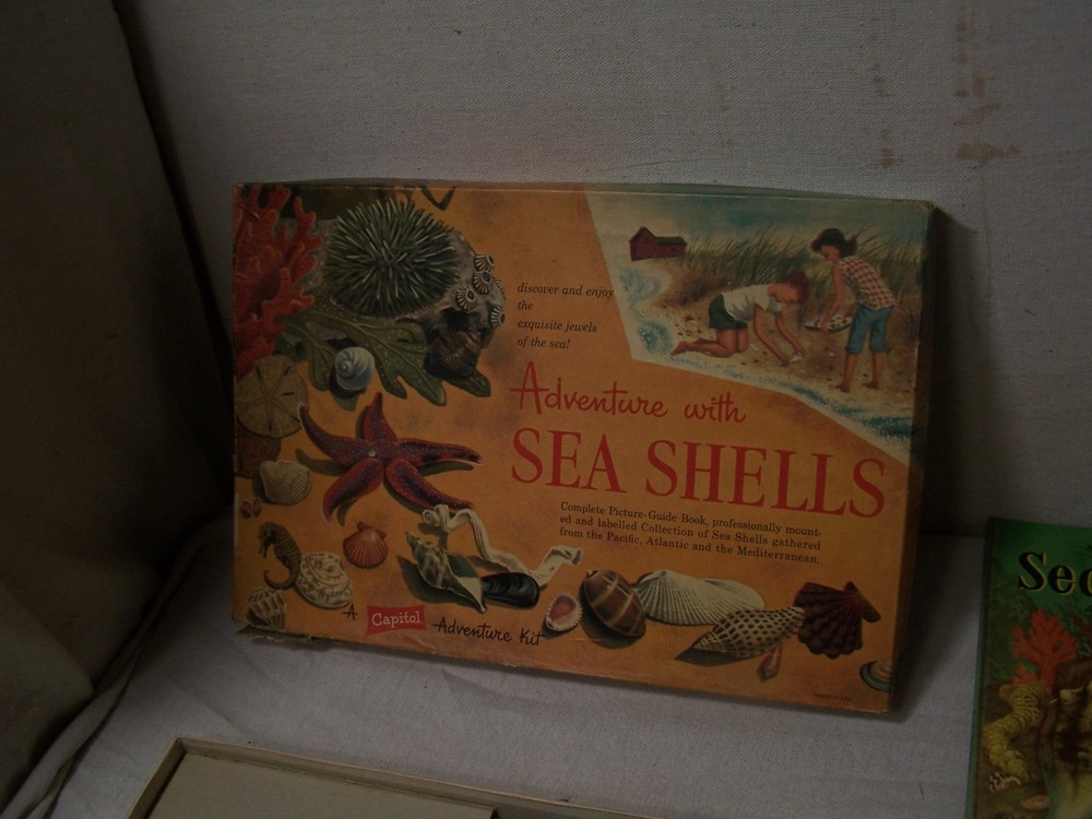 adventure with sea shells capitol adventure set