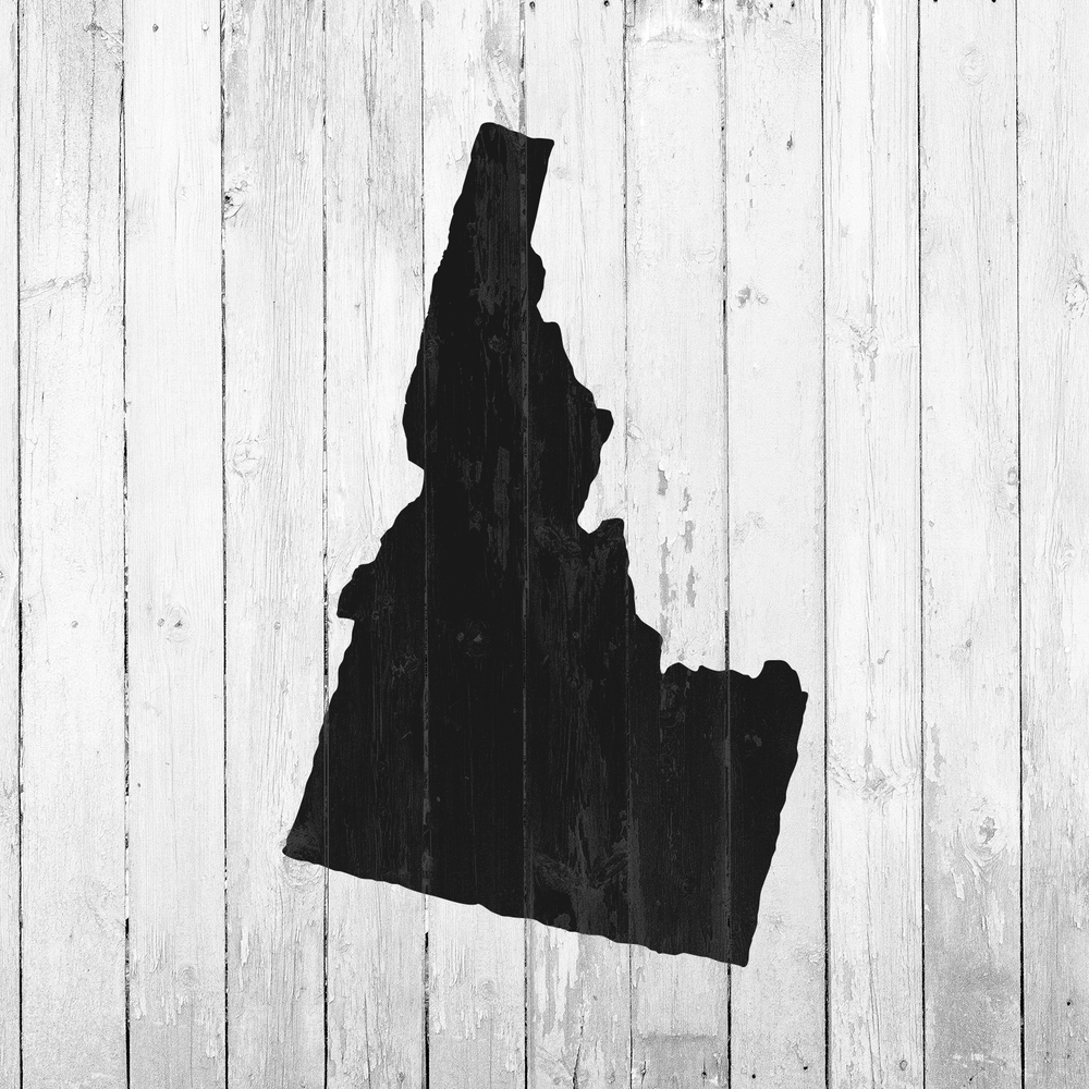 Idaho State Stencil - Durable & Reusable Mylar Stencils