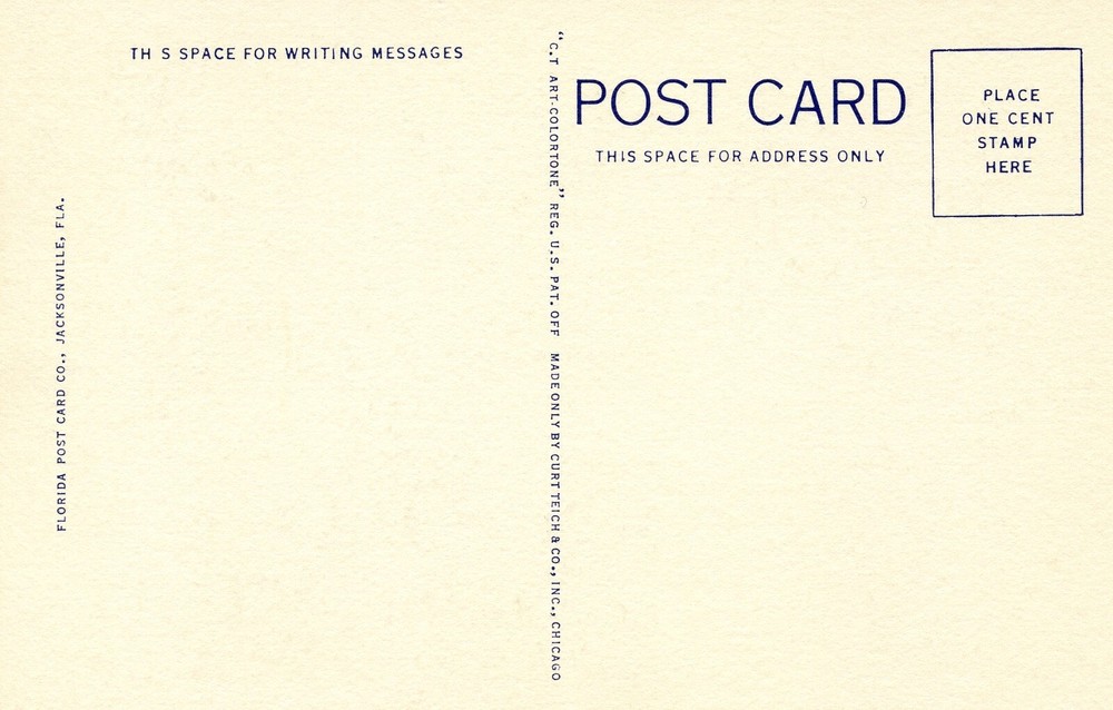 A GORGEOUS BIRD - PC731