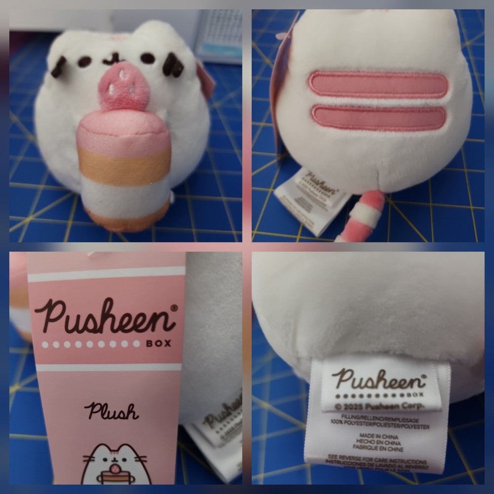 PUSHEEN SUMMER BOX 2025 2 BOXES AVAILABLE. BOTH 3X