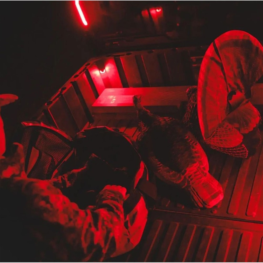 Ravek Trunk Bed Light - Red 59-207R