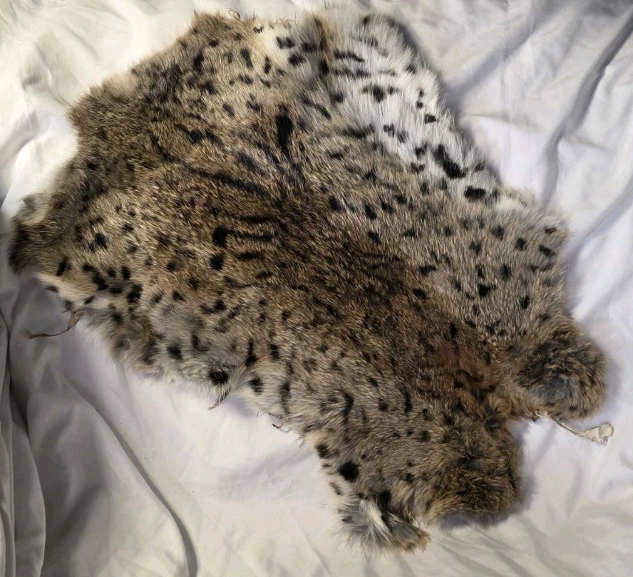 Rabbit Fur Pelts X 9 Rare Patterns 🔥 Georgous 🔥