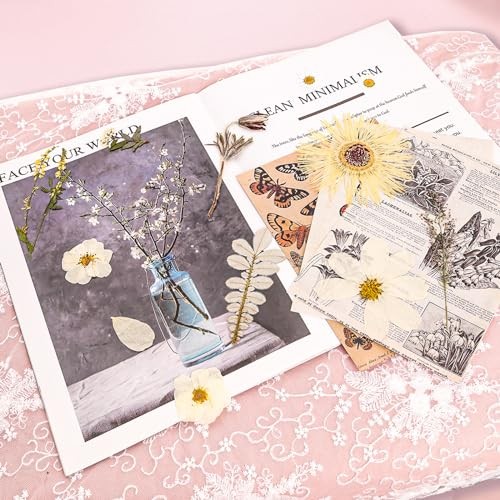 50Pcs Dried Pressed Flowers Real Pressed Flowers Natural Dry Leaves Bulk White
