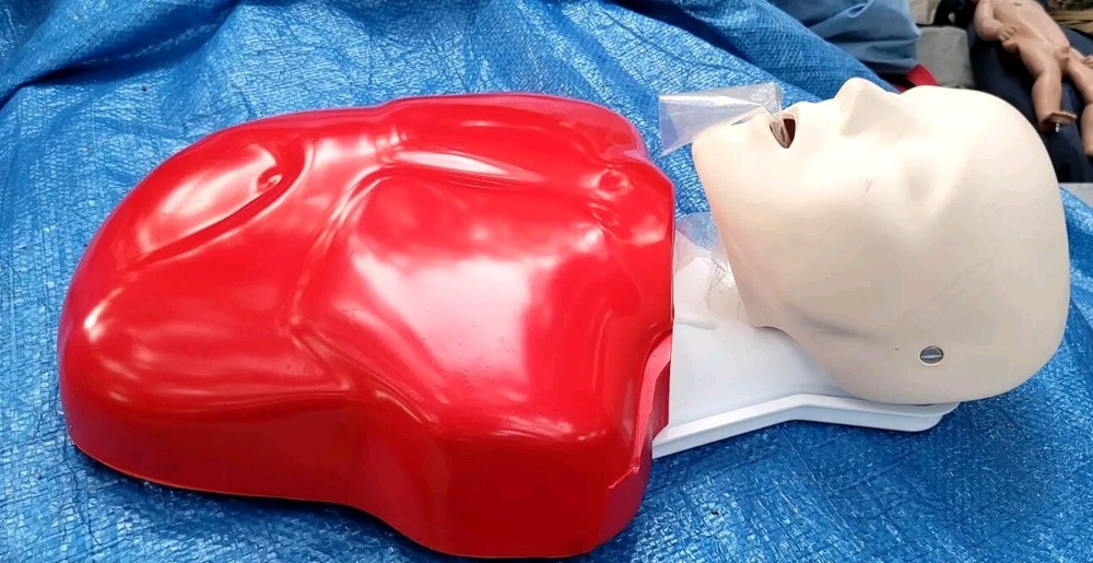 Lifeform Nasco Basic Buddy CPR Training Adult LF03694