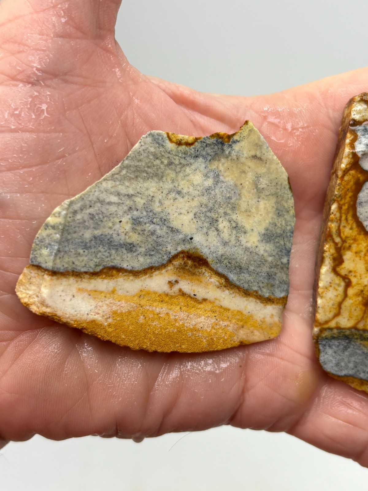 Disaster Peak Picture Jasper Cabbing Lapidary Collecting Combo Ship Avail