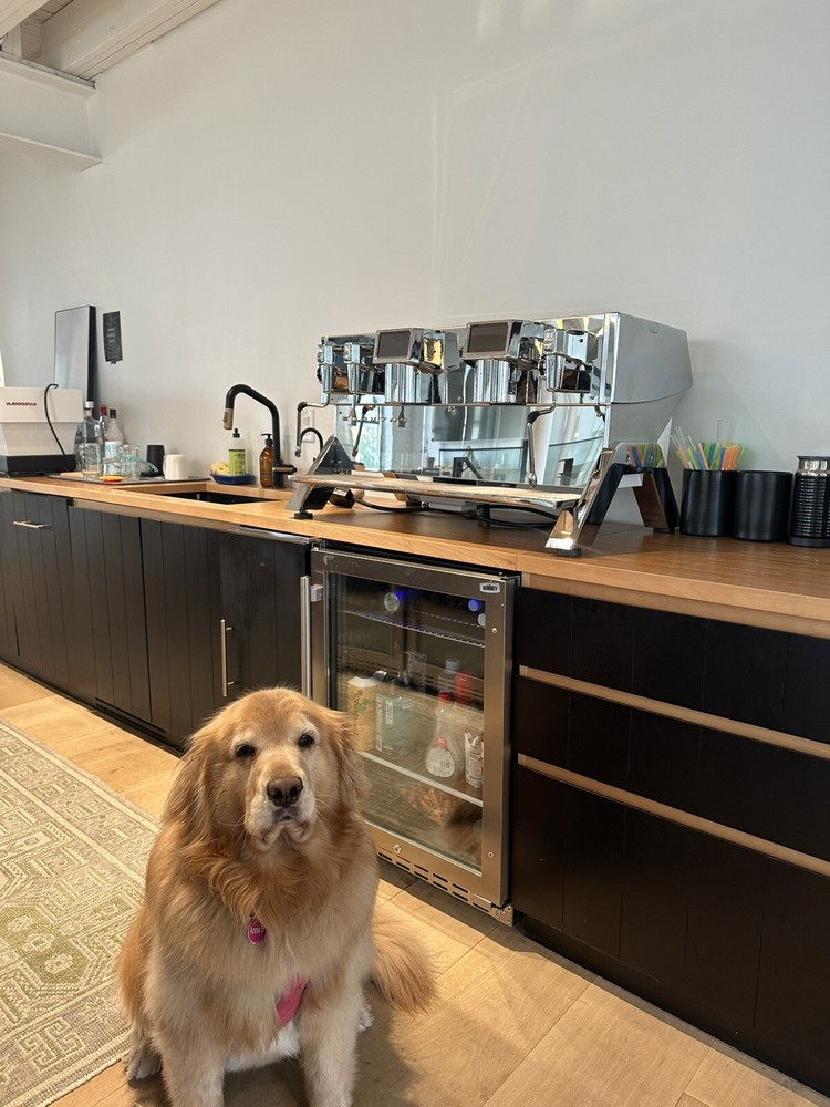 elektra Indie espresso machine