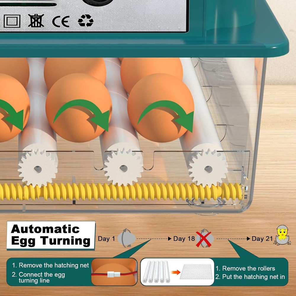 16 Eggs Incubators for Hatching Eggs with Automatic Turning and Humidification