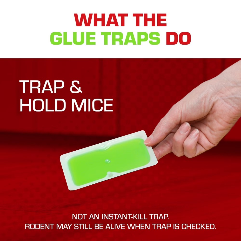 Tomcat Super Hold Glue Traps Mouse Size