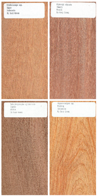 40 pc. Set of 1/2 x 3 x 6" Wood Samples for Collecting, Knife Scales, etc. Set 1