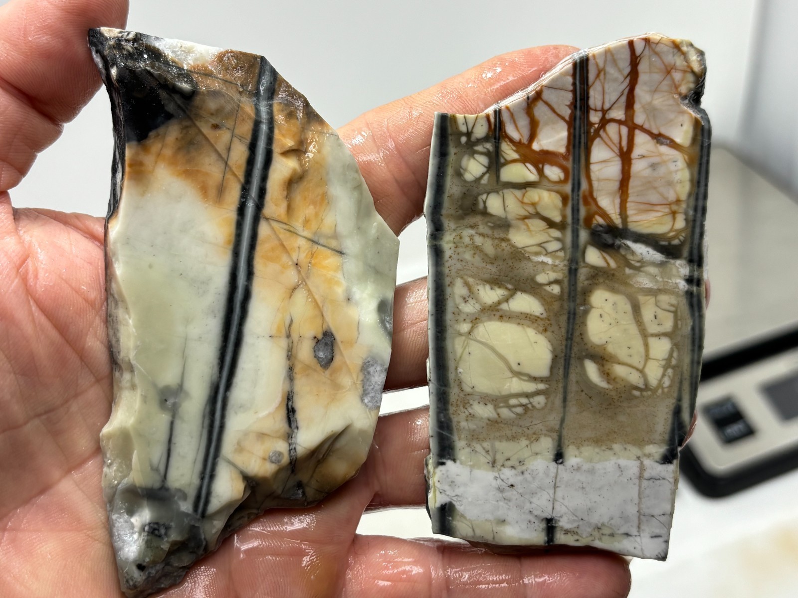 Picasso Marble (Jasper) Slabs Cabbing Lapidary Utah Combo Ship Avail
