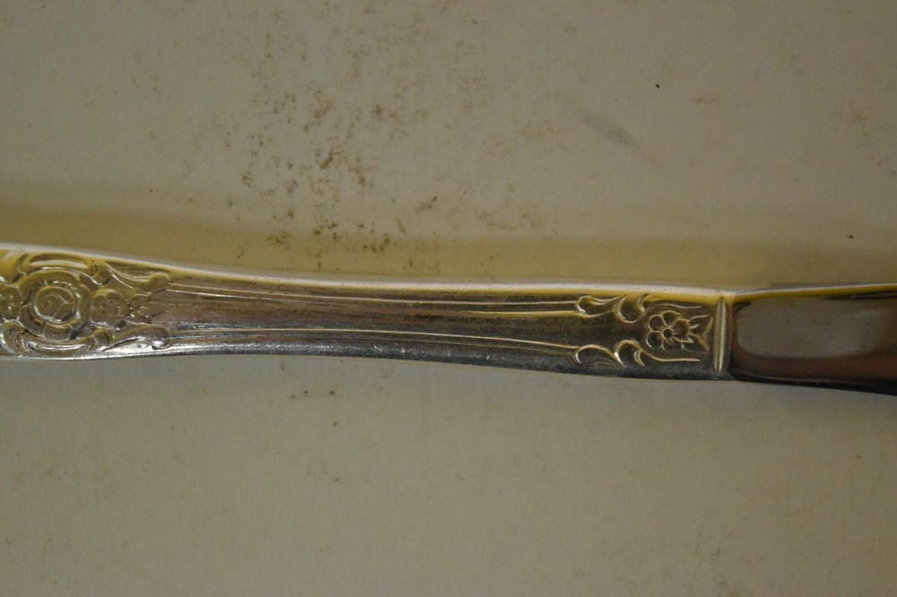 Vintage WM Rogers Oneida Vanessa Francesca Silverplate Modern Solid Knife 9"