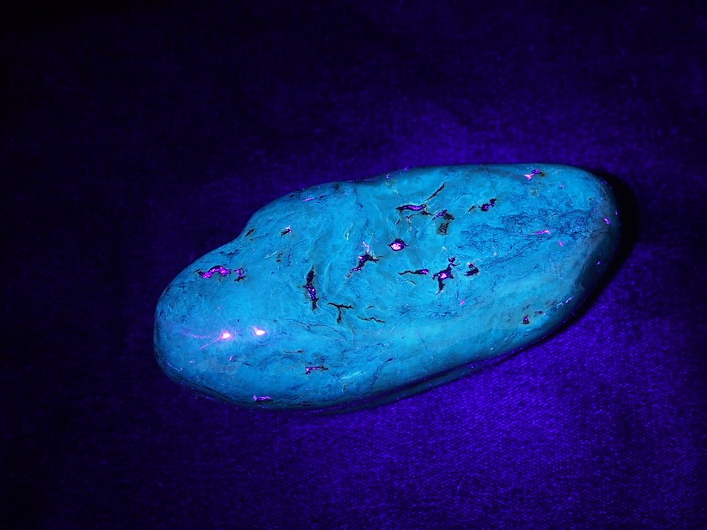 Fully Polished Mexican Amber