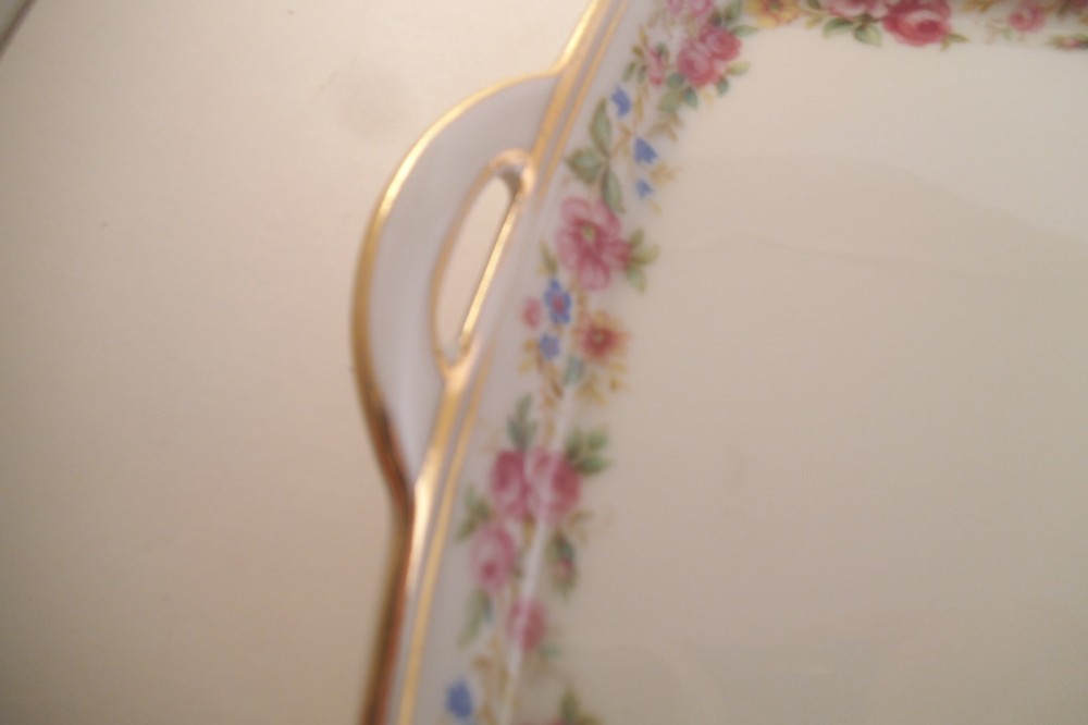 Vintage Pasco Bavaria Tirschenreuth Germany Rectangular Bread Tray Flowers