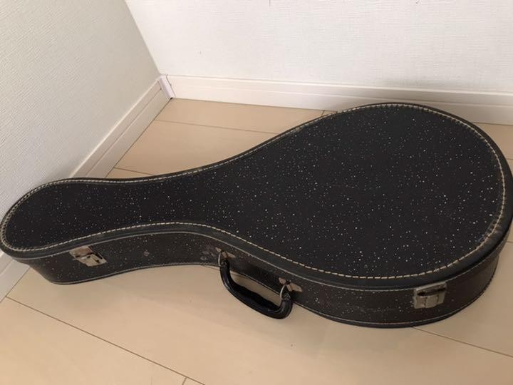 Mandolin Martin Style-A Natural 1920 Flat Back with Softshell Case
