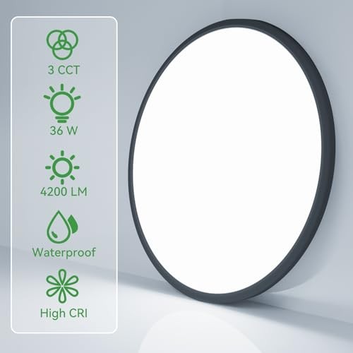 15.8INCH 2Pack Big Dimmable Flush Mount Ceiling Light 15.8Inch-2pack Black