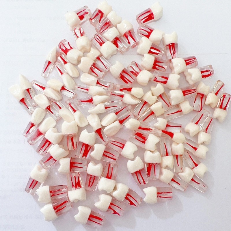 20Pcs Dental Endo Root Canal Teeth Model Practice RCT Pulp Study Typodont Model