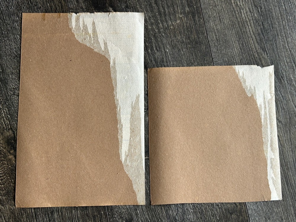 KISS Concert Ad Advert Clippings Revenge Tour Indiana 1992 Lot Vintage Kiss