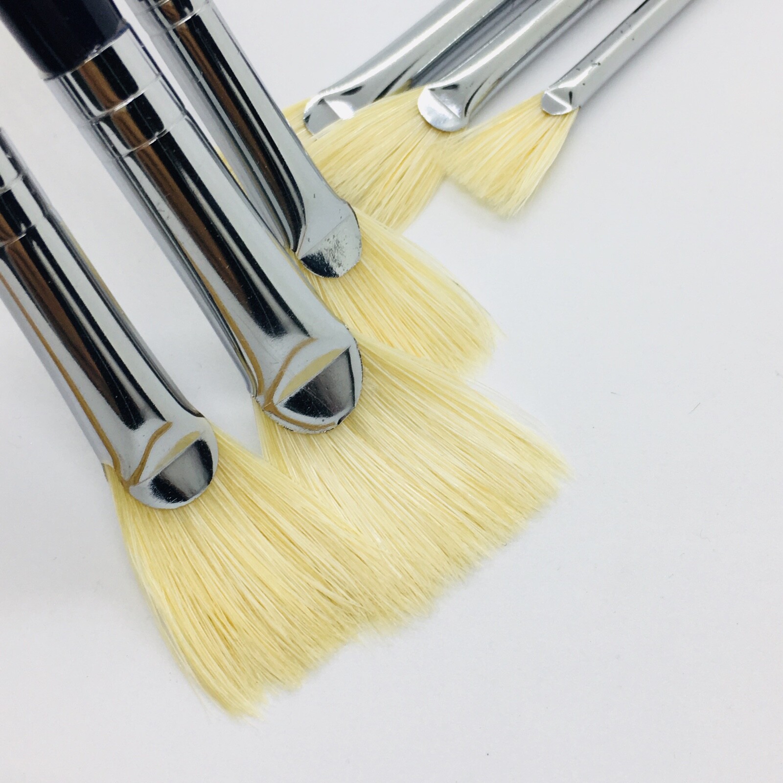 XDT#616-1 Fan Art Brush Set 6Pc #2#4#6#8#10#12 Hog Acrylic Oil Watercolor