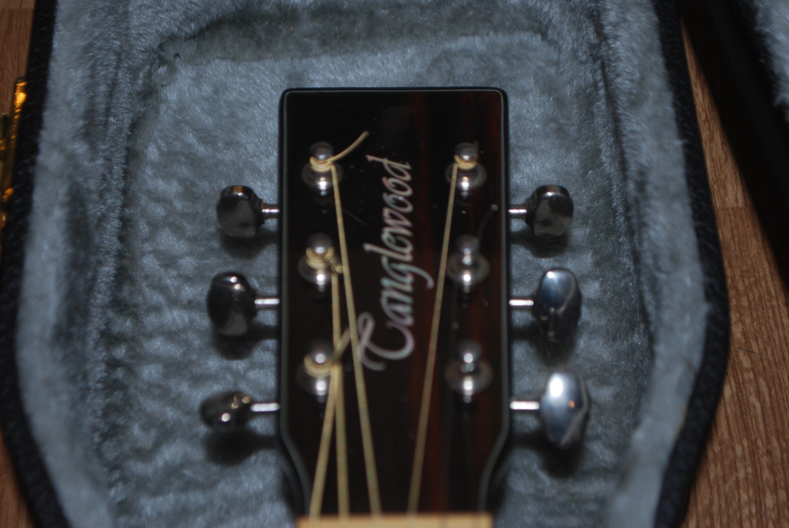 Tanglewood TW55FCE Acoustic Electric Guitar With Hard Shell Case