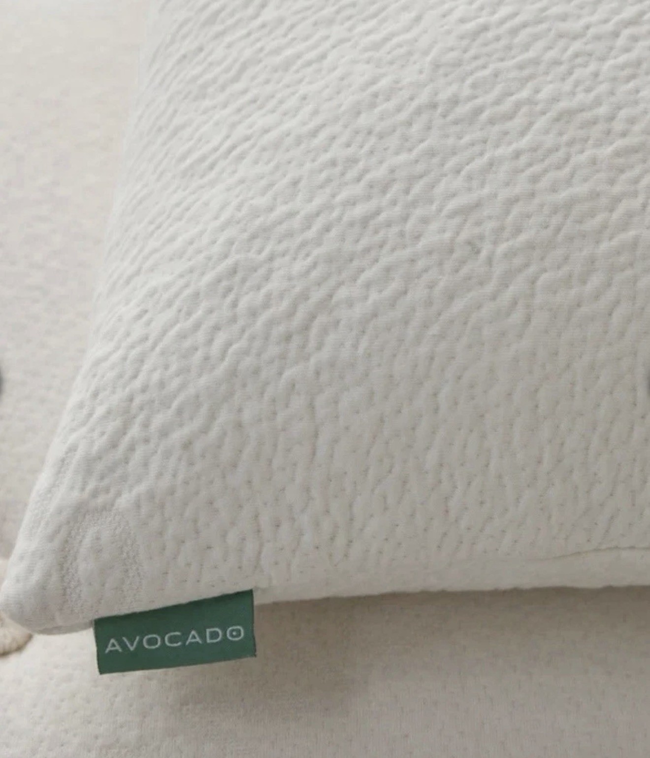 Avocado Green Organic Pillow Queen – Latex & Kapok – Model SFPAVAMEM-QPIL